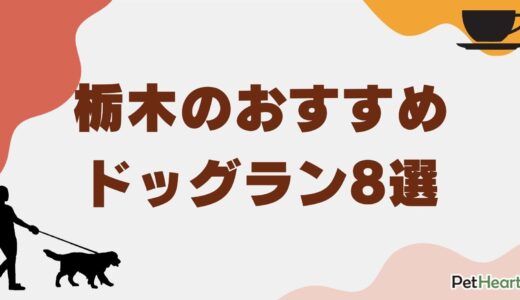 栃木のおすすめドッグラン8選！カフェやキャンプ場併設施設も紹介