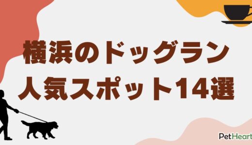 横浜のドッグラン人気スポット14選！無料ランやカフェ併設施設も紹介