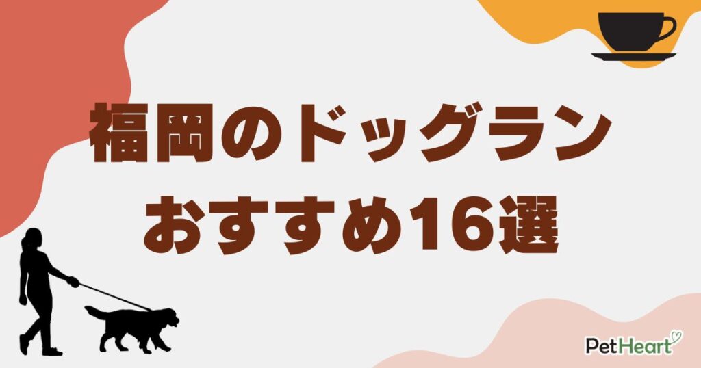 ドッグラン 福岡