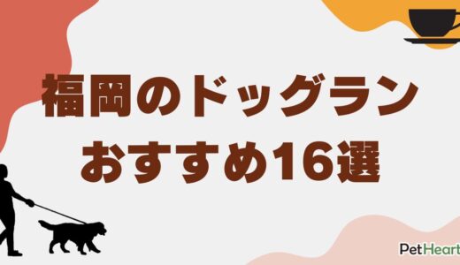 福岡のドッグランおすすめ16選！室内やカフェ・プールも紹介