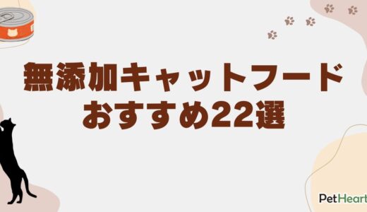 無添加キャットフードおすすめ22選！安心の国産や市販品も紹介