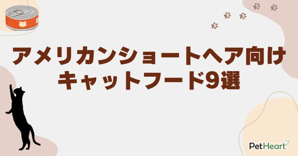 アメリカンショートヘア キャットフード