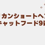 アメリカンショートヘア キャットフード
