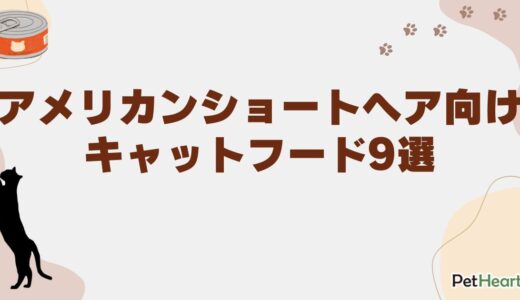 アメリカンショートヘア向けキャットフード9選！子猫用や去勢後の餌量も解説
