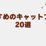 キャットフード　おすすめ