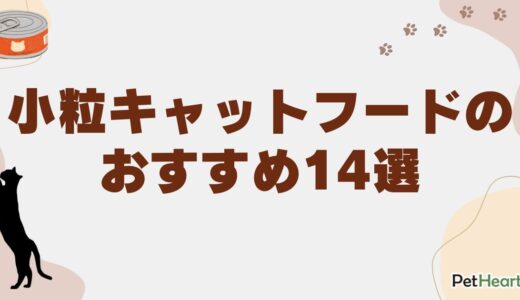 キャットフードの小粒タイプおすすめ14選！シニアや子猫向けも紹介