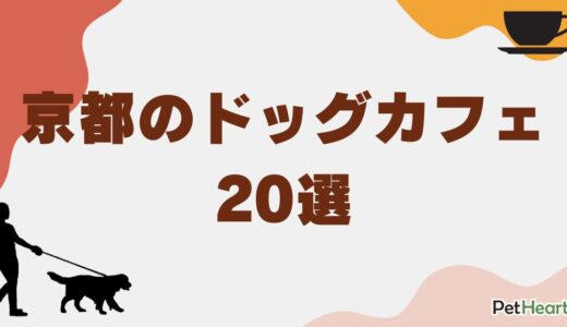 京都のドッグカフェ20選！犬と楽しめるおすすめのレストラン特集