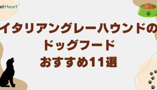 イタリアングレーハウンドのドッグフードおすすめ11選！適正体重や餌の量も！