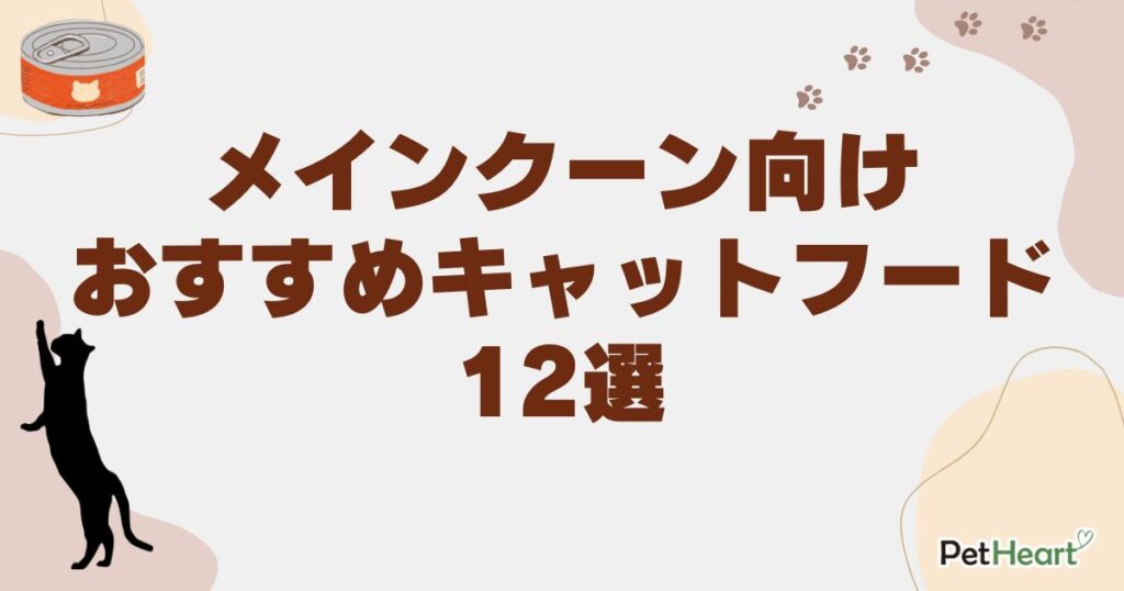 メインクーン キャットフード