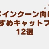 メインクーン キャットフード