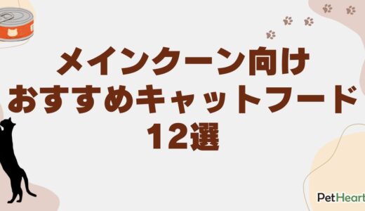 メインクーン向けおすすめキャットフード12選！子猫用や成長のコツも紹介