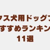 ミックス犬 ドッグフード