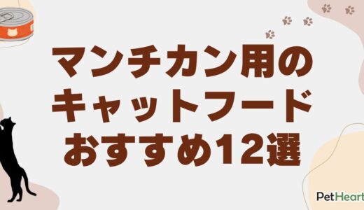 マンチカン用キャットフードおすすめ12選！餌の量や子猫用フードも解説