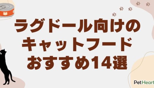 ラグドール向けキャットフードおすすめ14選！餌の量や子猫用フードも解説