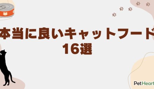 本当に良いキャットフード16選！安くて安全な選び方も徹底解説