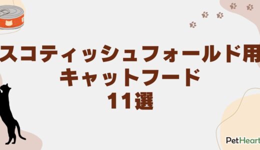 スコティッシュフォールド用キャットフード11選！子猫用や食べない時の対処法も解説