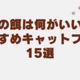 猫の餌 何がいい