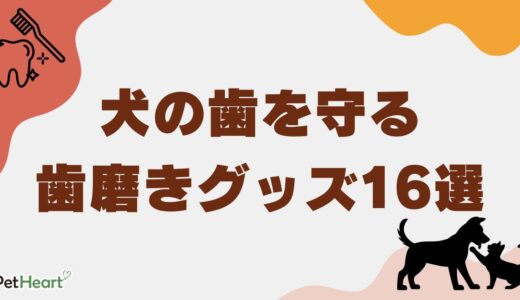 犬の歯を守る歯磨きグッズ16選！選び方のポイントも詳しく紹介