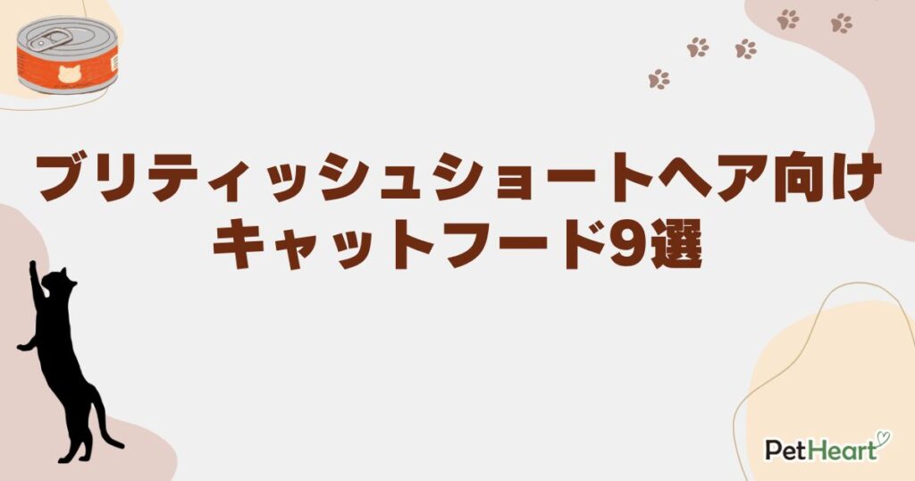 ブリティッシュショートヘア キャットフード