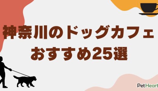 神奈川のドッグカフェおすすめ25選！横浜のドッグカフェやおしゃれなお店も紹介