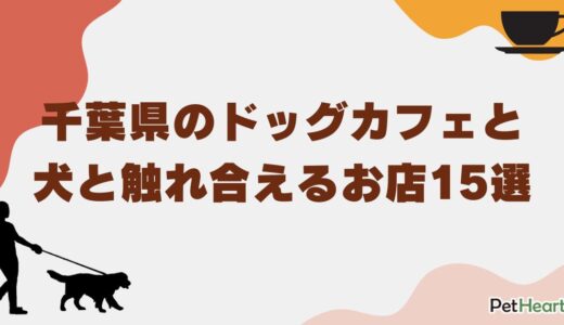 千葉県のおすすめドッグカフェ・犬と触れ合えるお店15選