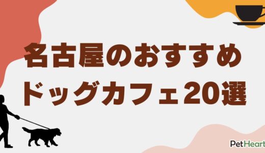 名古屋のおすすめドッグカフェ20選！人気店や触れ合い可能な店舗も紹介