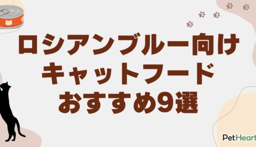 ロシアンブルー向けキャットフードおすすめ9選！子猫やダイエット用、餌の量も解説