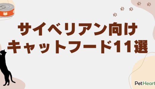 サイベリアン向けキャットフード11選！子猫用や食べない時の対処法も解説