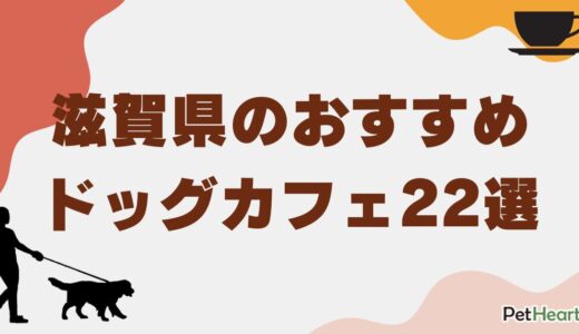 滋賀県のおすすめドッグカフェ22選！愛犬と過ごせる店舗やドッグラン併設のお店も