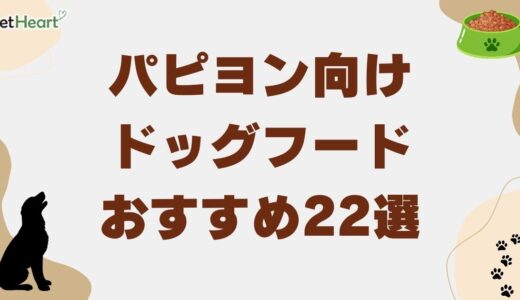 パピヨン向けドッグフードおすすめ22選！涙やけ対策や食べない理由も解説
