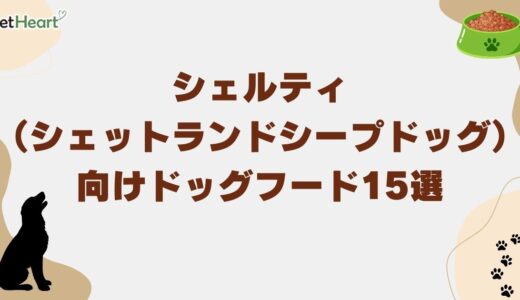 シェルティ（シェットランドシープドッグ）向けドッグフード15選！餌の量も解説