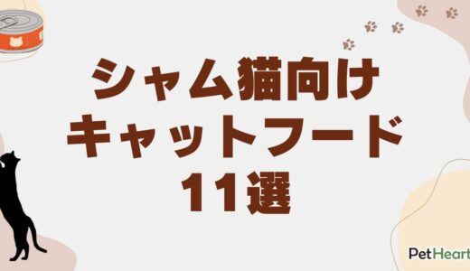 シャム猫専用キャットフード11選！選択基準や成長段階別の給餌方法も解説！