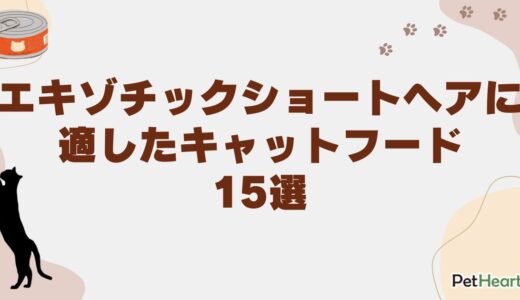 エキゾチックショートヘアに最適なキャットフード15選！涙やけ対策も解説