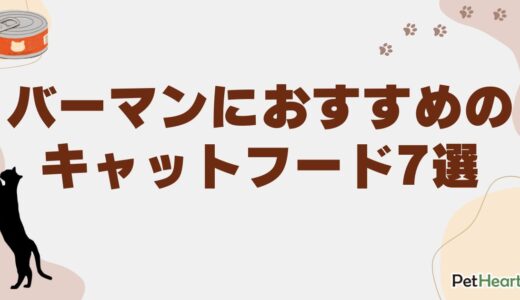 バーマン向けキャットフードおすすめランキング7選！選び方や体重管理法も紹介