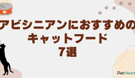 アビシニアンのためのおすすめキャットフード7選！選び方も解説