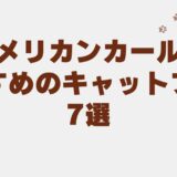 アメリカンカール　キャットフード