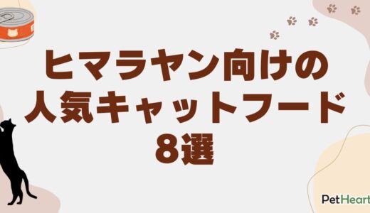 ヒマラヤン専用キャットフード8選！選び方と適切な給餌量を解説