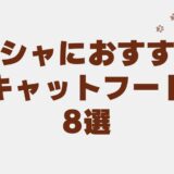 ペルシャ キャットフード