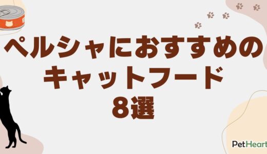 ペルシャにおすすめのキャットフード8選！年齢別の給餌量も解説