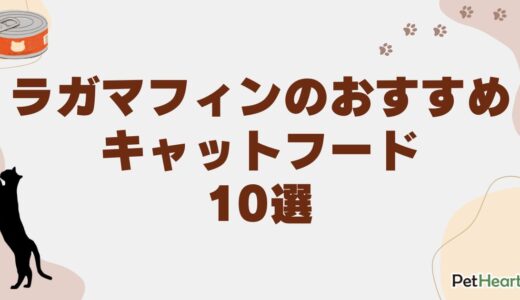 ラガマフィンのおすすめキャットフード10選！適切な給餌量と管理のポイント