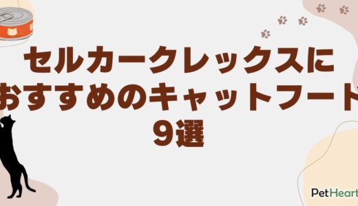 セルカークレックスにおすすめのキャットフード9選！選定するポイントも解説