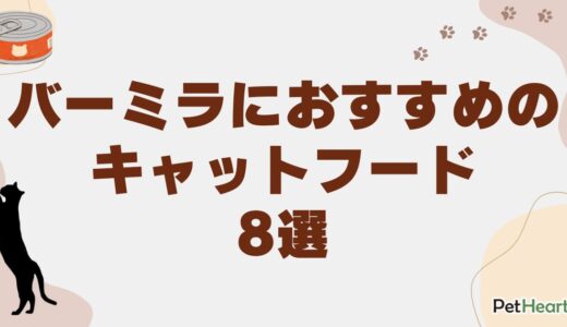 バーミラにおすすめのキャットフード8選！選び方や猫種の特徴も解説