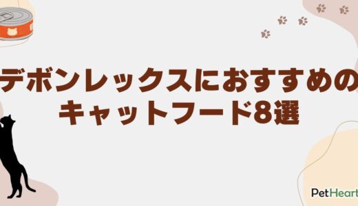 デボンレックスにおすすめのキャットフード8選！選び方やかかりやすい病気も解説