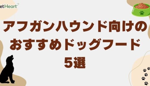 アフガンハウンド向けのおすすめドッグフード5選！年齢別に適した栄養素も紹介