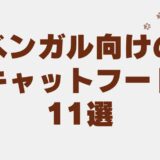 ベンガル キャットフード