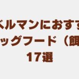 ドーベルマン ドッグフード（餌）