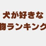 犬が好きな果物ランキング