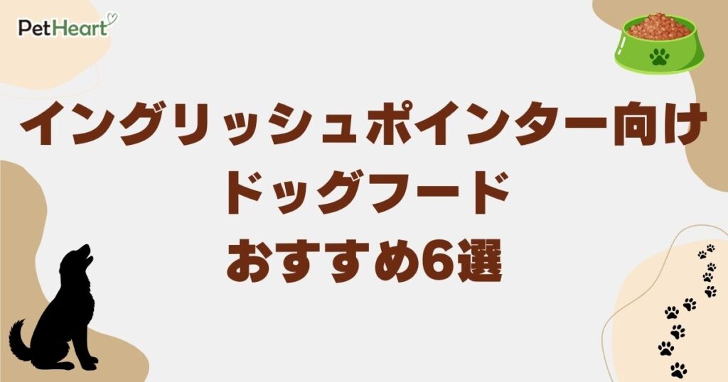 イングリッシュポインター ドッグフード