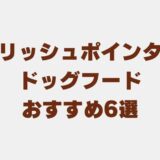 イングリッシュポインター ドッグフード