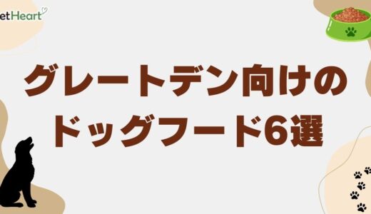 グレートデン向けドッグフードおすすめ6選！選ぶポイントも解説